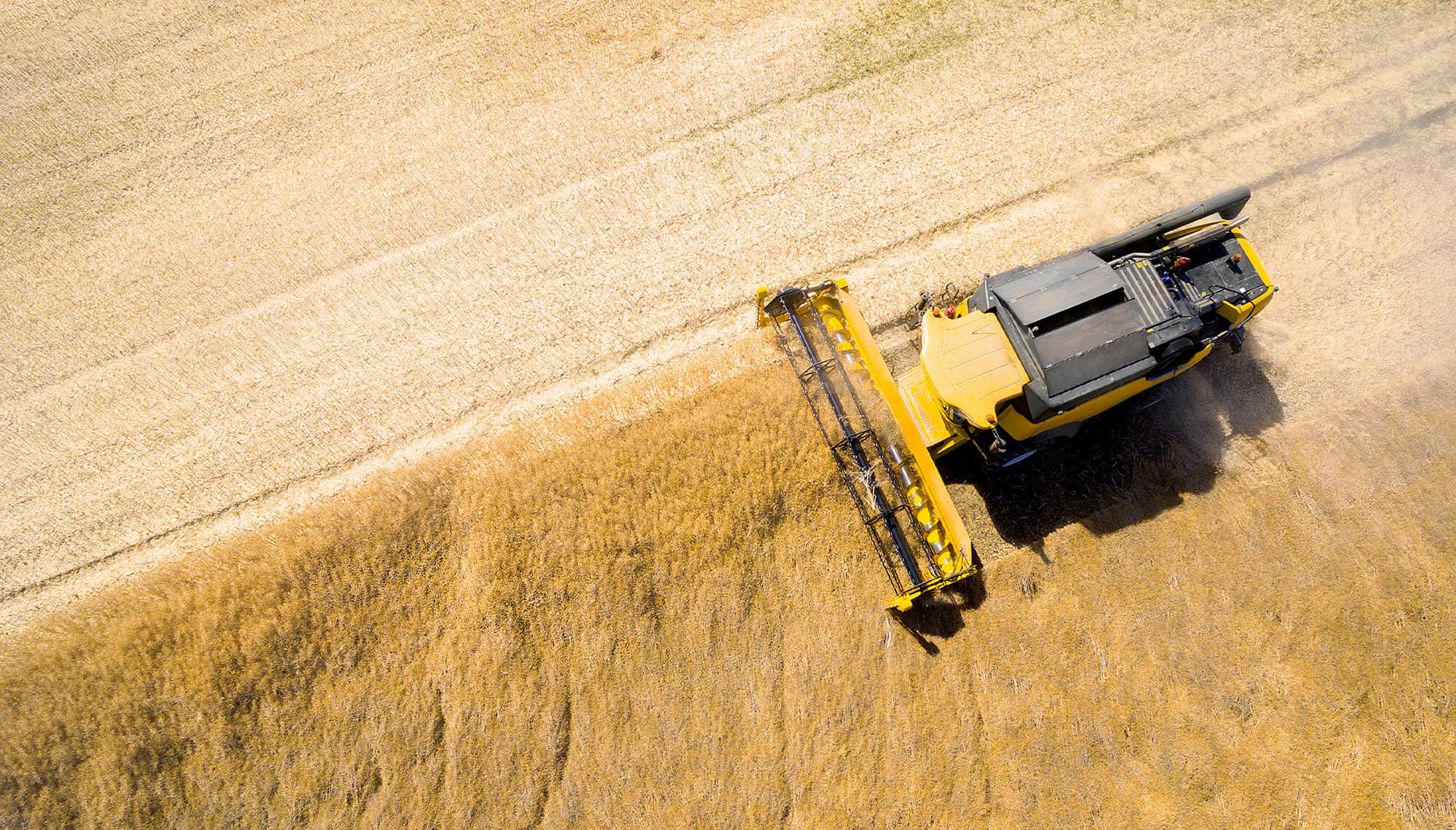 una mietitrice in un campo