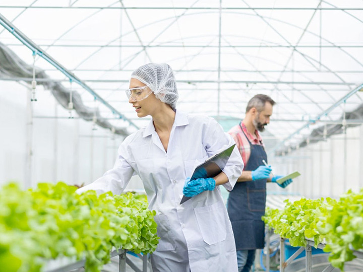 Happy workers discussing in greenhouse