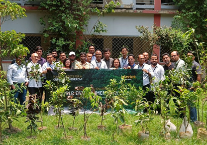 Global tree planting initiatives