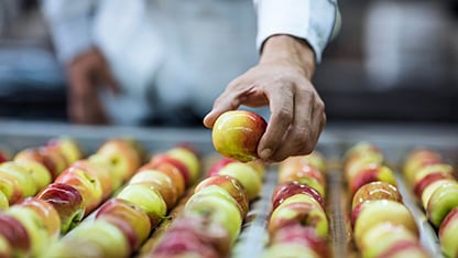 mele nell'impianto di trasformazione alimentare