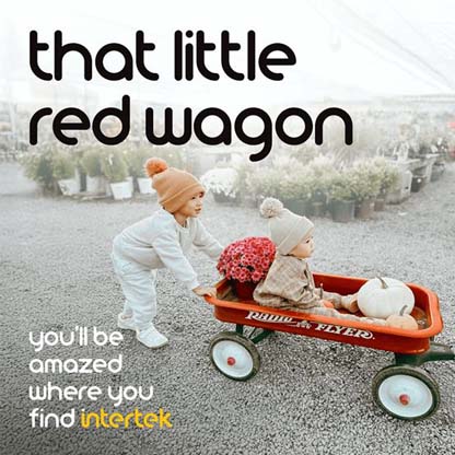 A child pushing another child on a red wagon