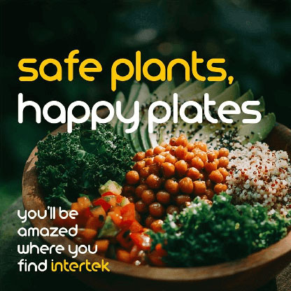 A bowl of varied vegetables